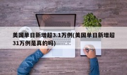 美国单日新增超3.1万例(美国单日新增超31万例是真的吗)