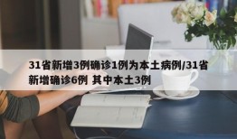 31省新增3例确诊1例为本土病例/31省新增确诊6例 其中本土3例