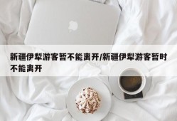 新疆伊犁游客暂不能离开/新疆伊犁游客暂时不能离开