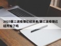 2023第二波疫情已经到来/第二波疫情已经开始了吗