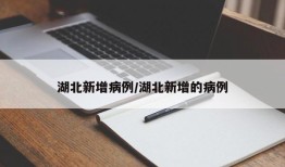 湖北新增病例/湖北新增的病例