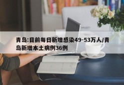 青岛:目前每日新增感染49-53万人/青岛新增本土病例36例